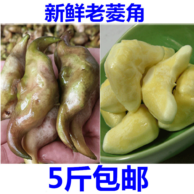 湖南祁东特产农家自种新鲜现采老菱角够粉五斤装特惠包邮促销活动