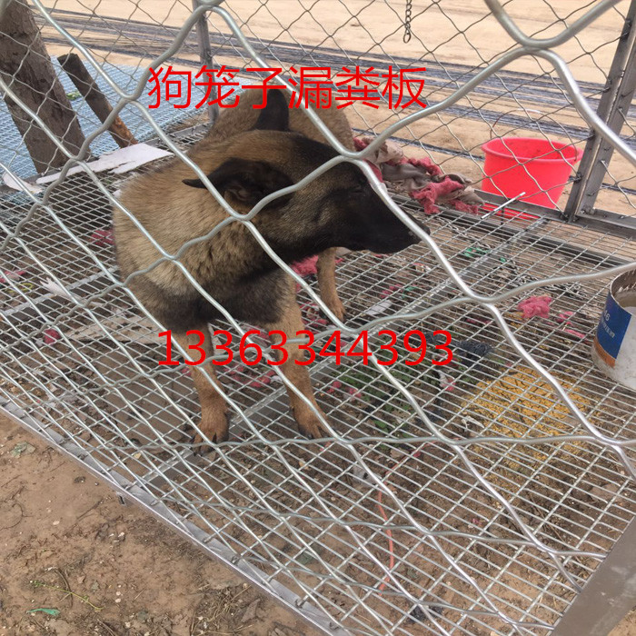 厂家直销狗笼漏粪网底网漏粪板镀锌养殖底网狗场专用鸽舍地网
