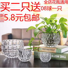 透明圆形玻璃瓶水培植物绿萝铜钱草办公室盆栽多肉小清新花瓶摆件