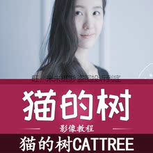 树Cattree 清新写真日系网络教程人像摄影后期PS修图调色视频