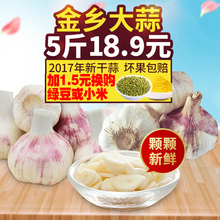 包邮 5斤大蒜头特产 山东金乡大蒜2017年紫皮红皮新干蒜低价