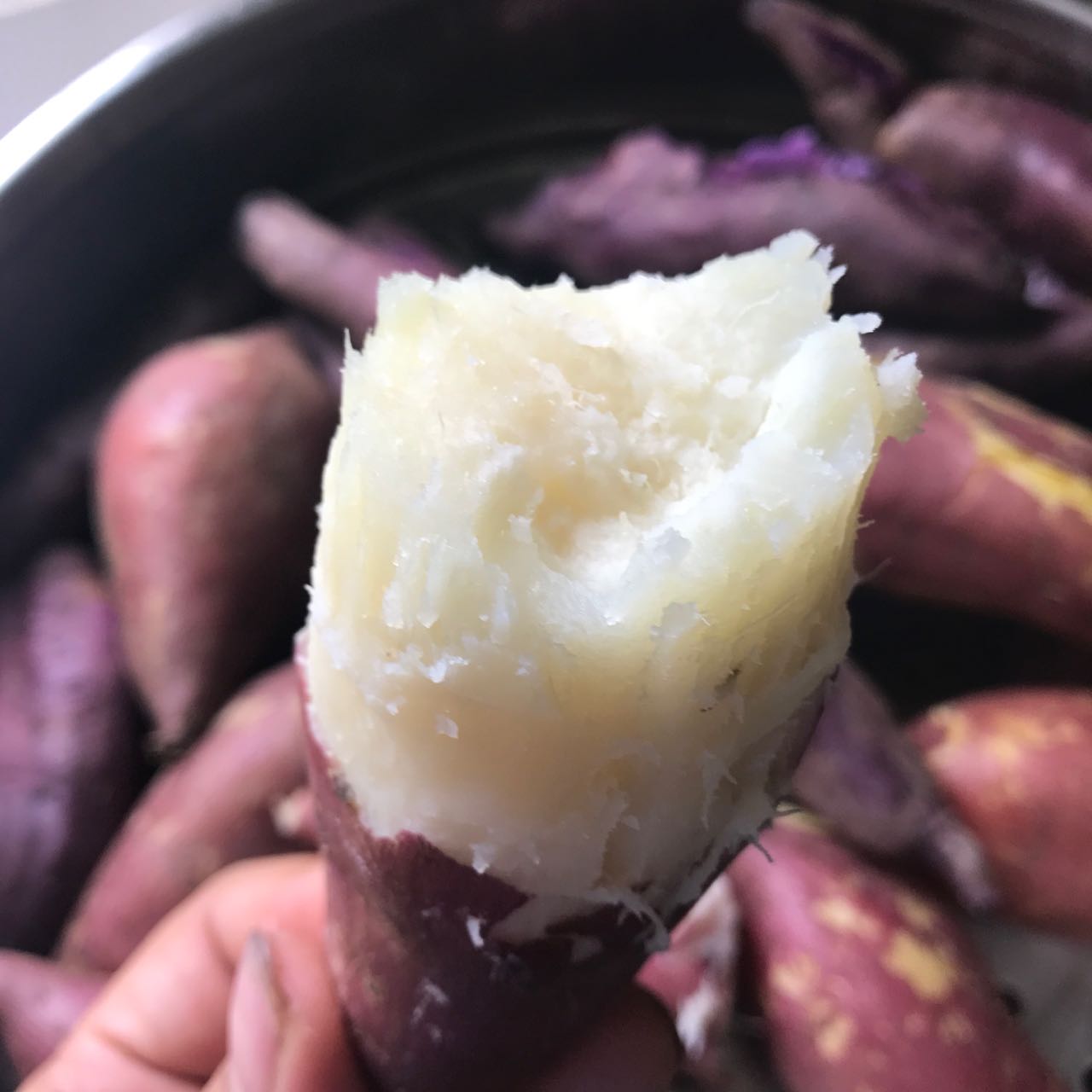 9斤装现挖栗子香白薯新鲜红薯白心红薯板栗番薯白瓤紫地瓜粉山芋