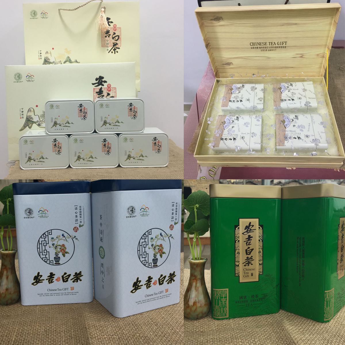正宗安吉白茶2016新茶头采特级白茶250g高档礼盒散装绿茶茶叶罐装
