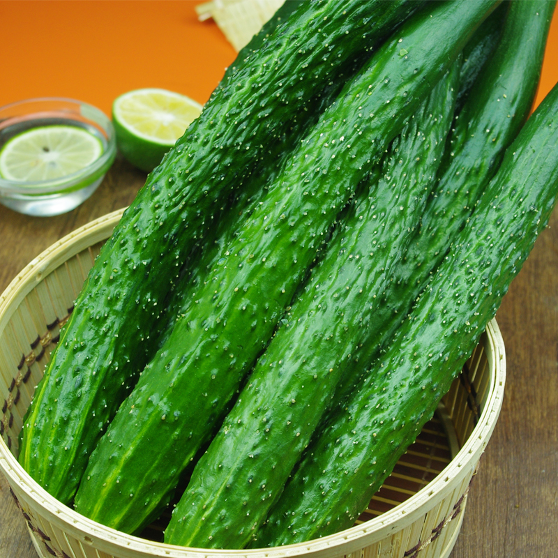 精品黄瓜1斤约2根 新鲜蔬菜,菜市场生鲜超市沃鲜汇