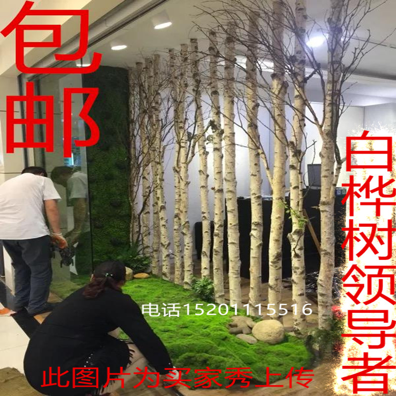 桦茸粉]白桦茸粉怎么吃评测 白桦茸食用方法图