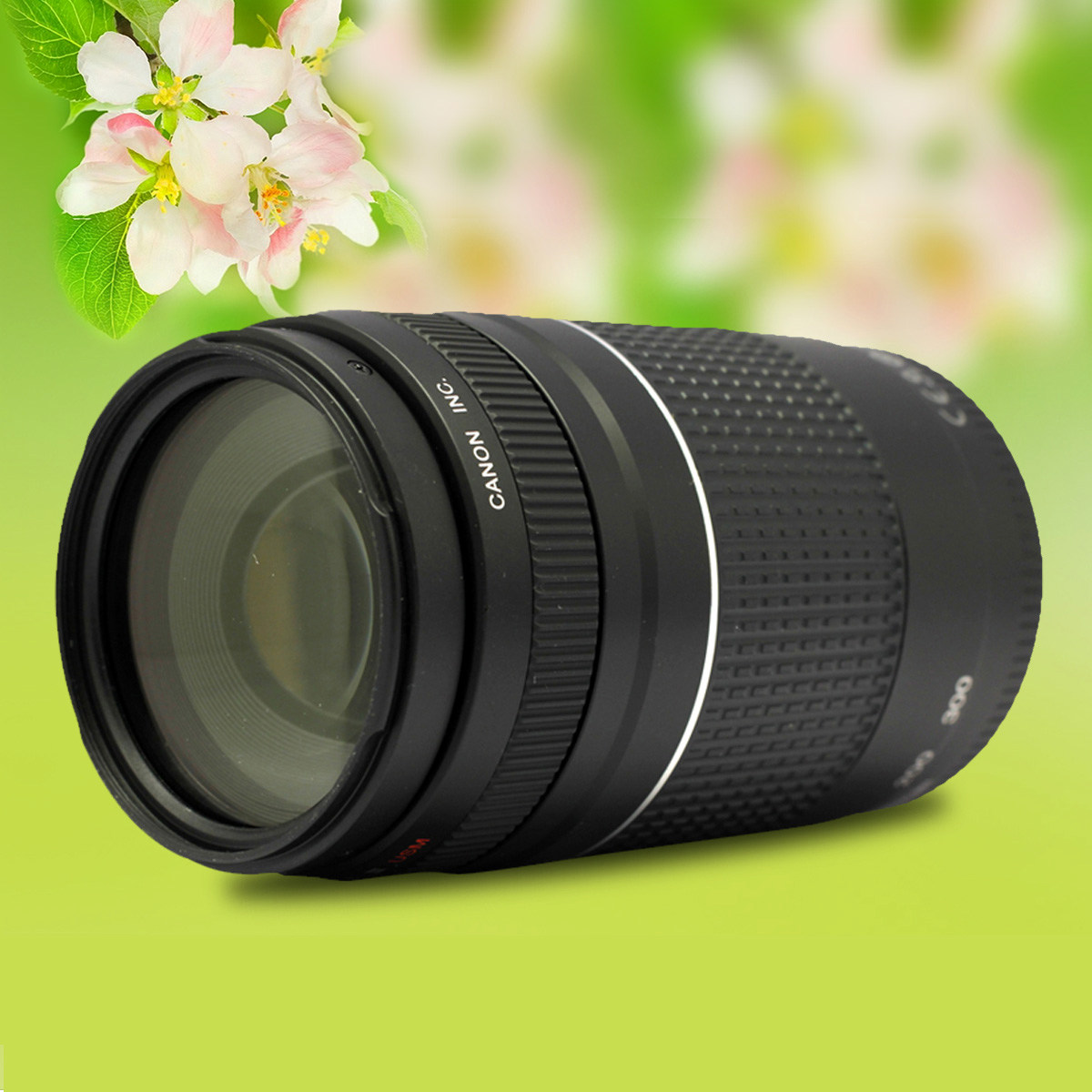 单反镜头长焦_单反长焦镜头_单反 长焦 镜头素质