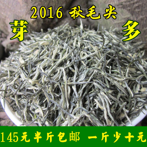 2016新茶秋茶散装蒙顶山茶蒙顶毛峰毛尖250g包邮