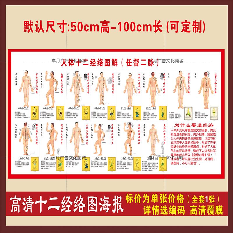 人体十二经络穴位图解任督二脉挂图海报 中医养生保健穴位挂图