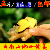老姜高原山区 新鲜姜 包邮 生姜 小黄姜5斤云南农家