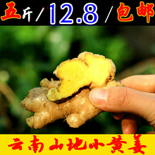 老姜高原山区 新鲜姜 包邮 生姜 小黄姜5斤云南农家