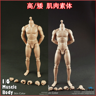 传统coomodel b3401b 1:6兵人标准体型男素体 b3402b窄肩接ht传统接口