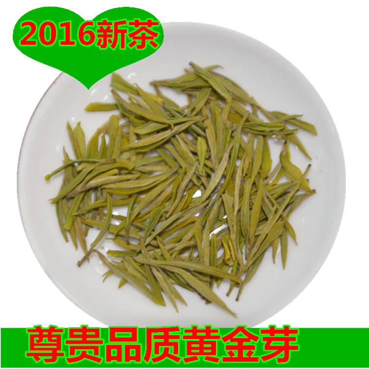 2016新茶黄金芽黄金白茶黄金叶 高山特级珍稀白茶绿茶安吉白茶