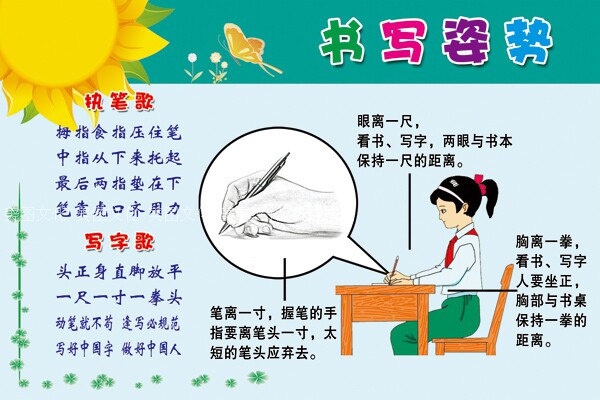 写字姿势书写学习小学海报挂画幼儿园教室教学 ts-03