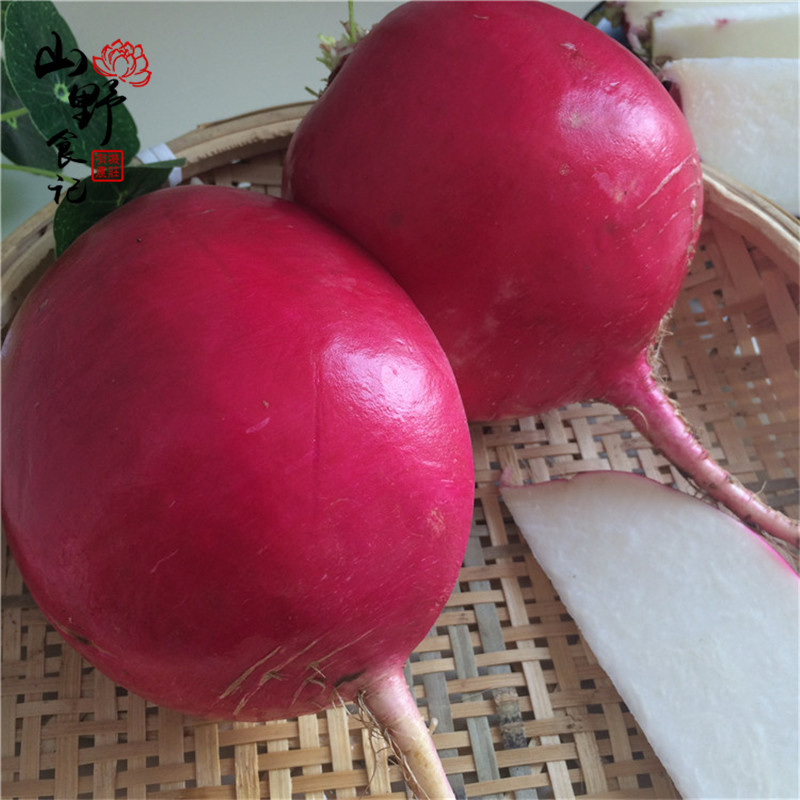 东北特产农家自种新鲜蔬菜大红袍萝卜雌性甜脆一份包邮5斤装