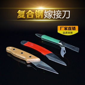 波罗树苗嫁接刀法图解_丑橘树苗_吊兰嫁接_扁桃树苗 ...