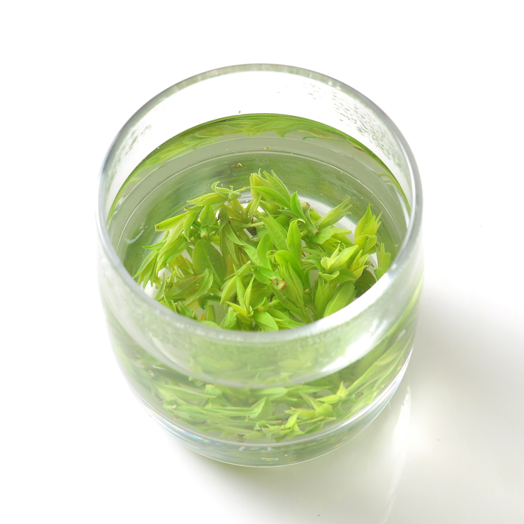 山尖百合小叶苦丁茶 2016早春头采新茶 贵州余庆野生茶 50g包邮