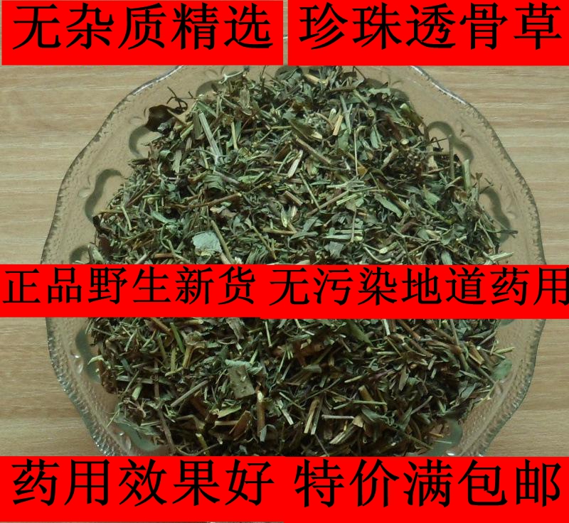 中药材野生珍珠透骨草500克 正品新货透骨草另有凤仙透骨草满包邮