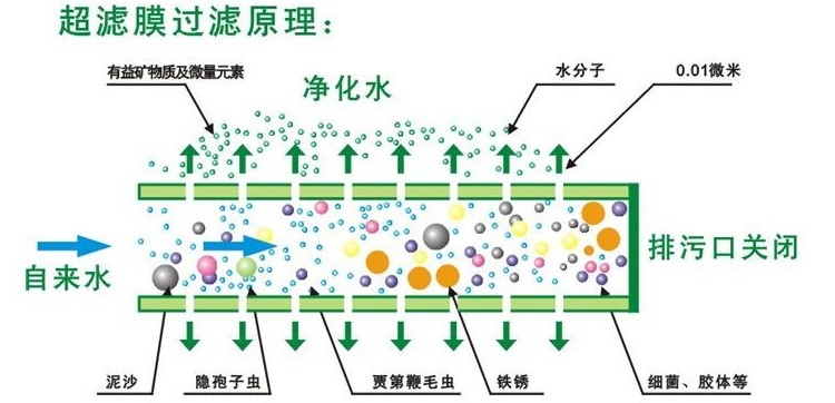 20寸大流量超滤膜滤芯 商用机20寸通用滤芯 优质二十寸超滤膜滤芯