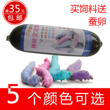 蚕宝宝彩色饲料 可完全替代桑叶 白蓝红黄紫任选 蚕宝宝专用饲料
