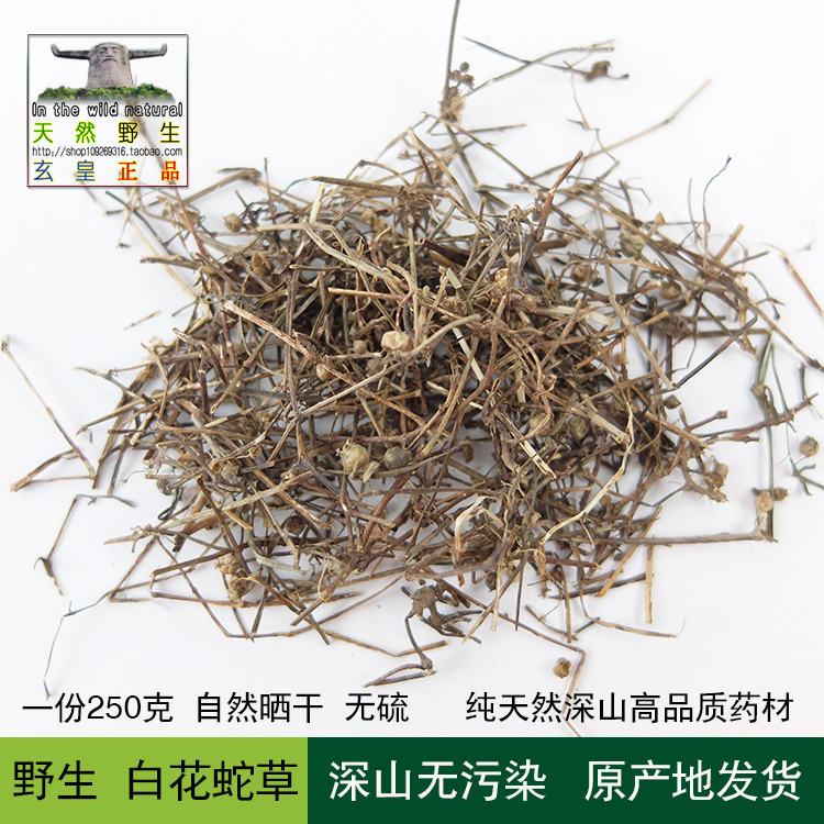 神农架 野生 白花蛇草蛇舌草尖刀草龙舌草中药材250克 2份包邮