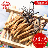 野生虫草正品 六年老店 6根 藏家乐西藏那曲冬虫夏草