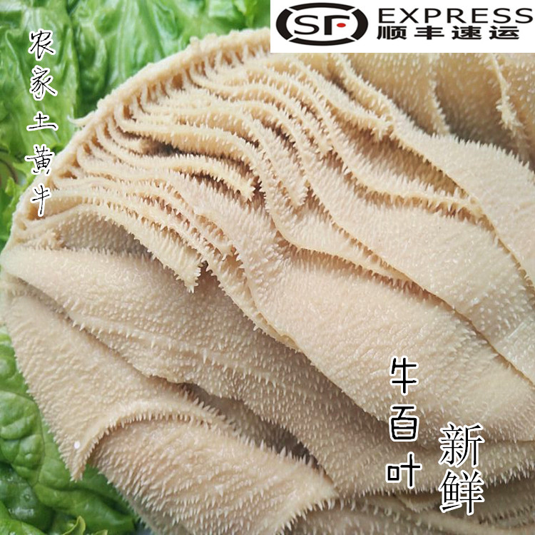 熟牛肚 牛肚新鲜冷冻包邮新鲜牛肚当天现煮新鲜牛百叶毛肚 牛脸肉