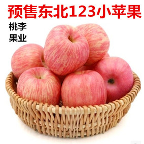 桃李果业东北特产 123小苹果 宝宝孕妇专用水果123果 10 斤一箱