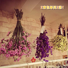 买2送1云南干花真花客厅餐桌摆放装 包邮 纯天然勿忘我2束