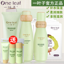 一叶子酪梨水漾保湿套装补水保湿洁面乳爽肤水乳液官网旗舰店正品