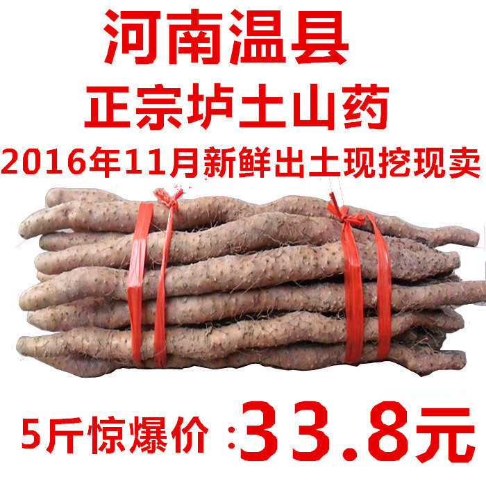 怀博正宗焦作垆土山药 温县铁棍山药 2016新鲜淮山包邮 铁杆山药