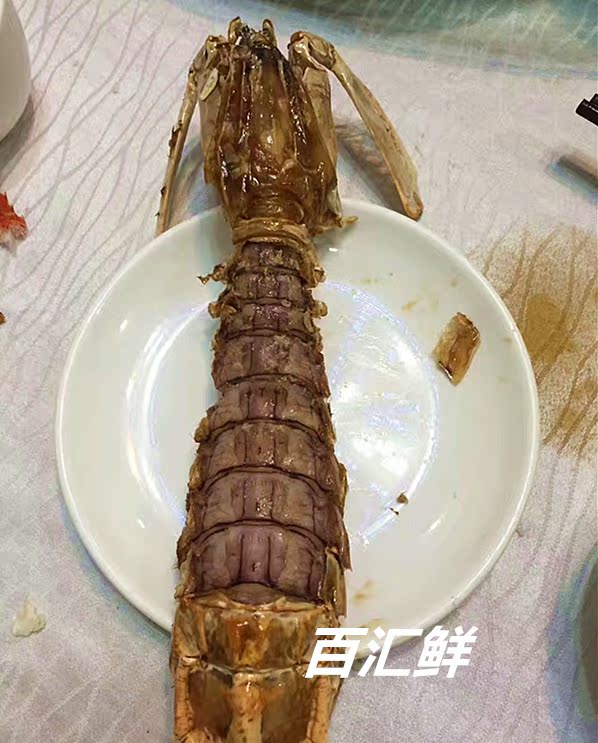 【熟冻大濑尿虾】3只起售 非活虾超大泰国濑尿虾皮皮虾虾爬子虾菇