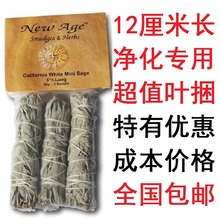 纯叶烟熏净化专用 整包 每包3捆 美国加州进口精选白鼠尾草12CM长