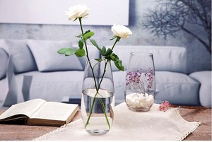 包邮 时尚透明玻璃花瓶水培鱼缸插花绿萝富贵