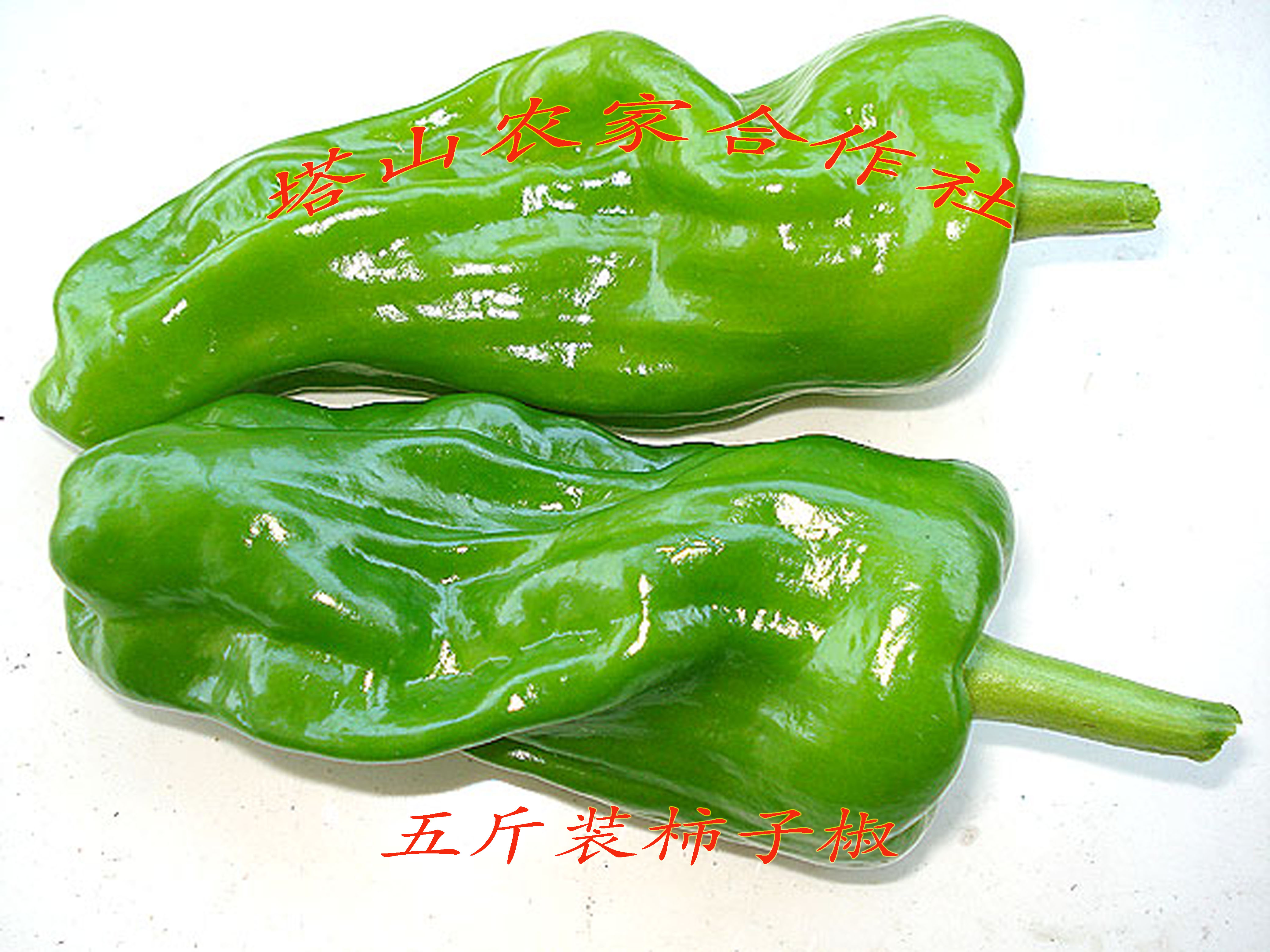 新鲜蔬菜青椒 甜椒圆椒菜椒彩椒现摘 大青椒农家种植5