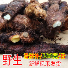 500 ëҰェҽҽ ½鲹