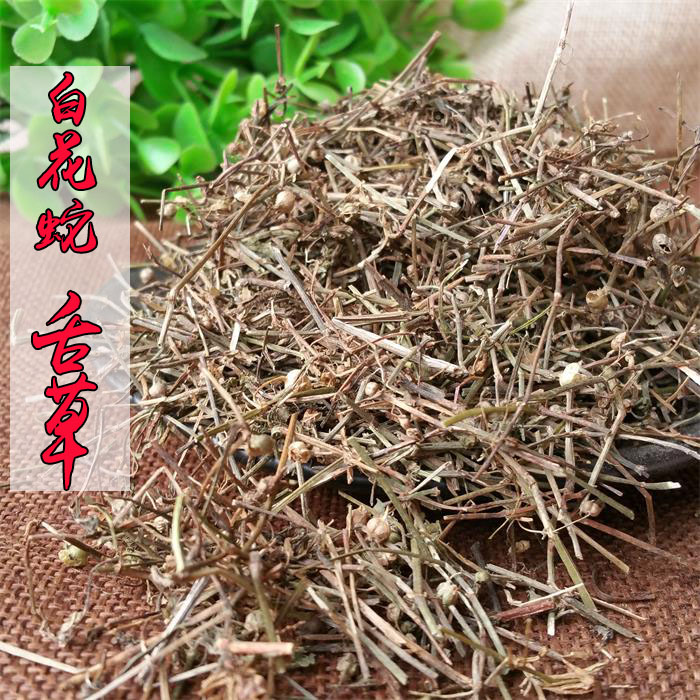 江西野生 中药材白花蛇舌草500克白花蛇草舌草 蛇草包邮质量保证