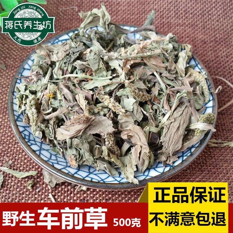 中药材野生车前草 优质车前草500克  包邮买三斤送半斤