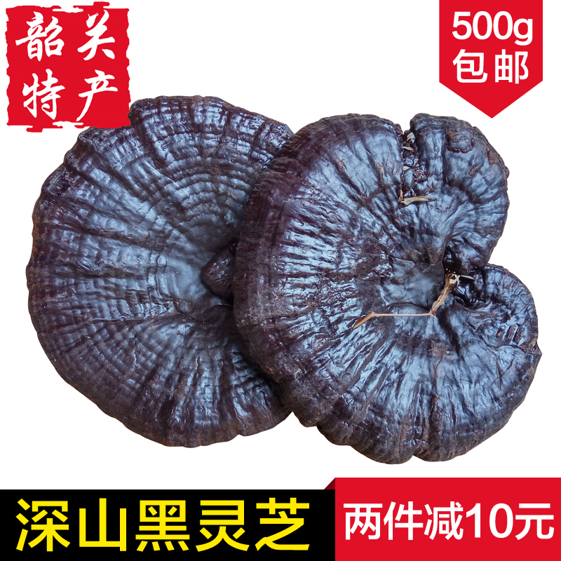 【天天特价】纯天然深山野生黑灵芝整枝正品 林芝可切片500g包邮