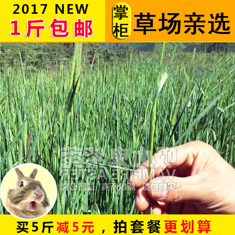 17年新大麦草段200g 兔子龙猫豚鼠天竺鼠荷兰猪干草饲料 4件包邮