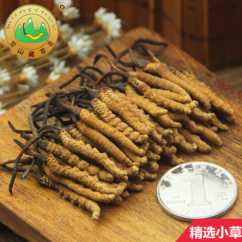 藏草香青海玉树野生冬虫夏草正品 精选正宗新鲜虫草无断草98元/克