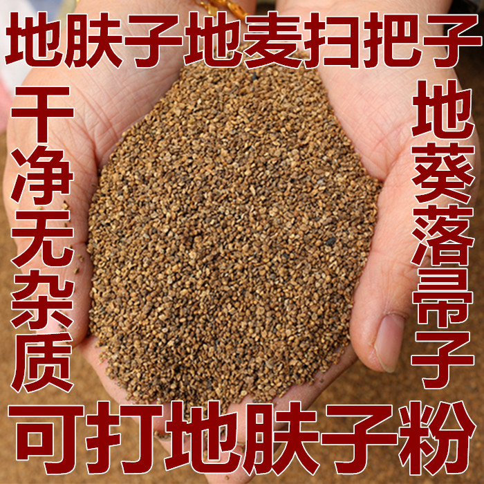 地肤子500g中药材地夫子地葵地葵头地麦落帚子铁扫把籽地肤子包邮