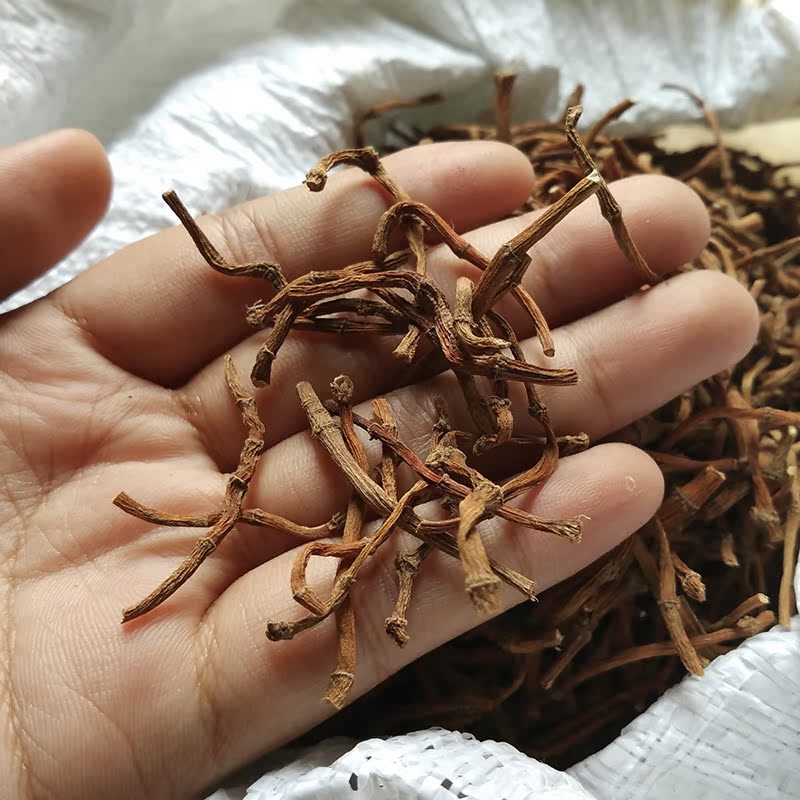 新鲜鱼腥草晒制鱼腥草狗腥草茶折耳根侧耳根臭菜猪皮孔狗贴耳干货