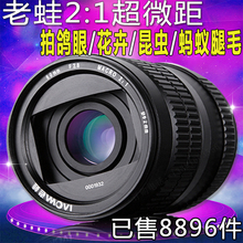 昆虫复眼花卉 2倍定焦人像 laowa老蛙微距镜头60mm 热卖
