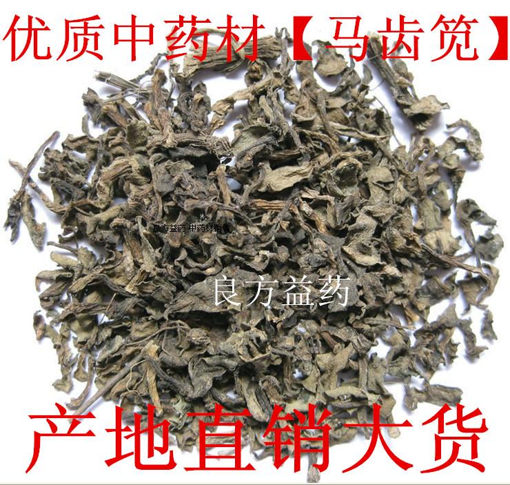 中药材野生马齿苋 马齿草 马齿菜长寿菜纯野生500克任意两件包邮