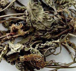 中药材 车前草 牛舌菜 地胆草 白贯草500克