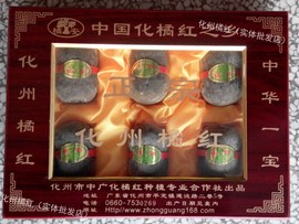 推荐最新化州安踏 广东化州天气预报信息资料