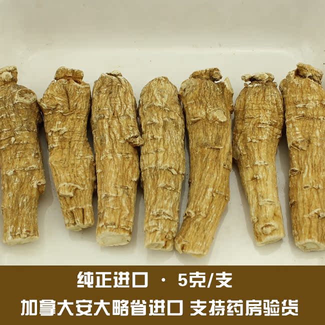 进口西洋参片 加拿大花旗参段5克/支 免费切片