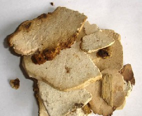 中药材专卖 茯神 伏神 云神 芸神 500克 包邮 同仁堂品质