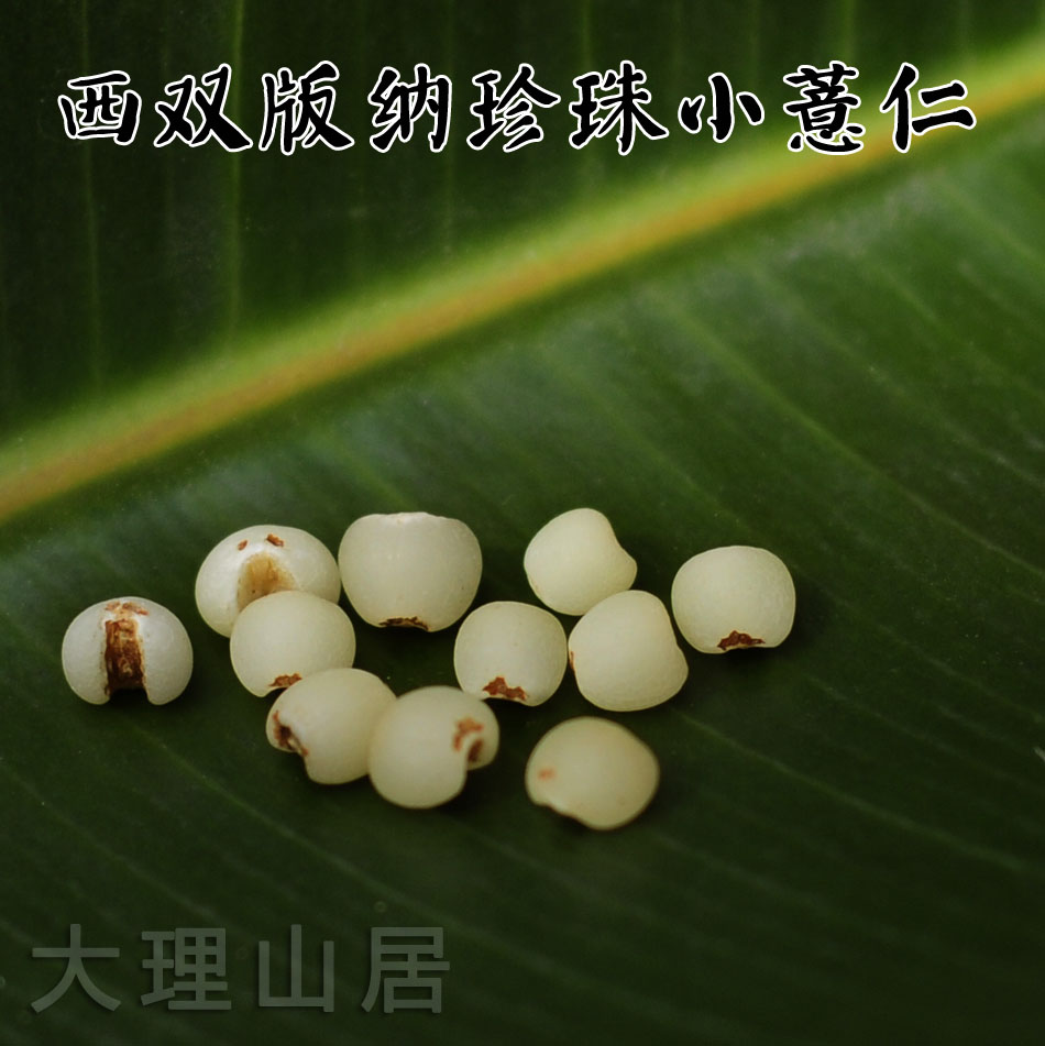西双版纳农家珍珠小薏米 透明 超糯香  薏仁米苡仁 150克