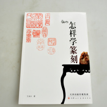 促销 篆书技法入门初学书籍特价 怎样学篆刻刻印工具印章边款